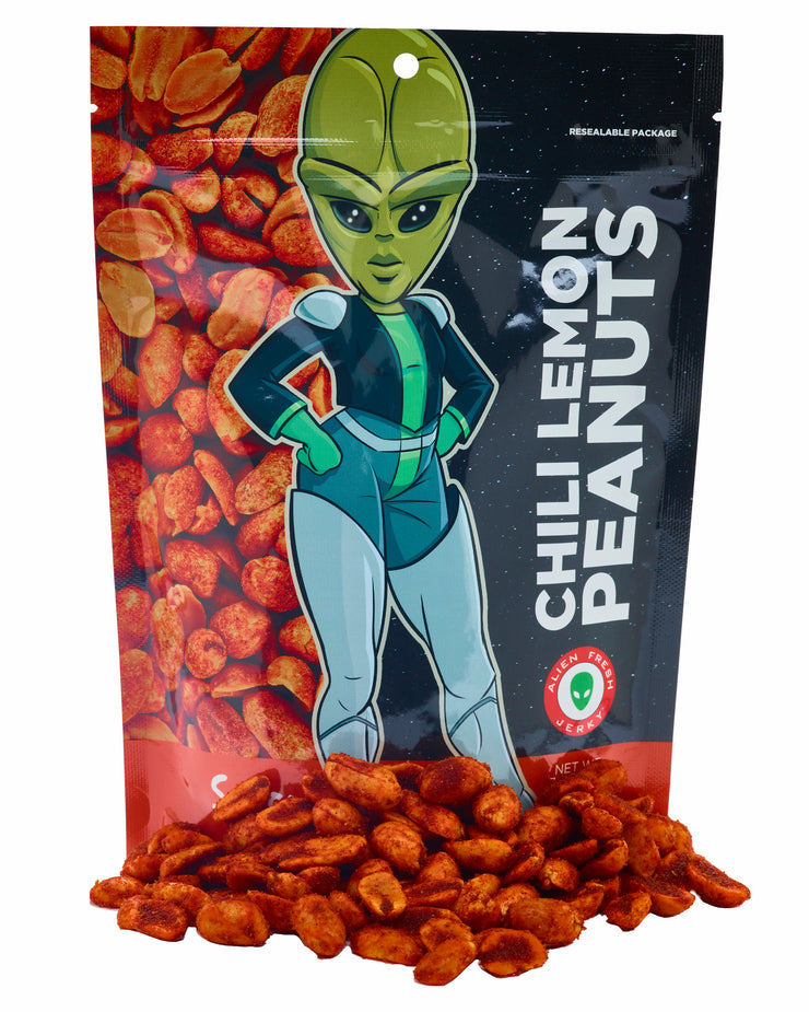 UFO themed store in Baker, CA