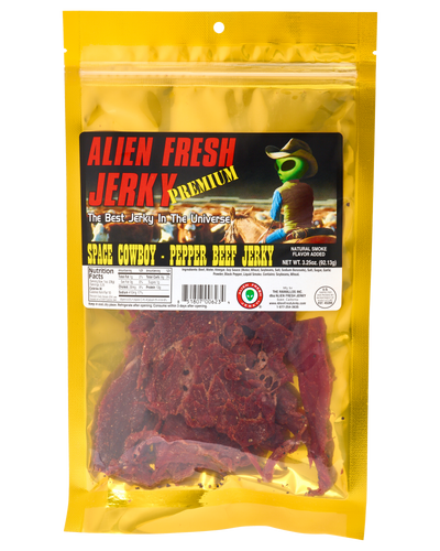 UFO Themed Novelty Jerky Store in Baker, CA